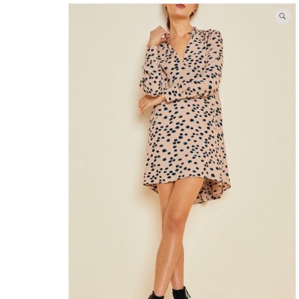 NWT Dotted A-Line Dress